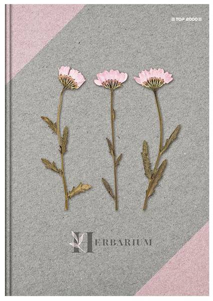 Brulion 300 A5 kratka Kreska