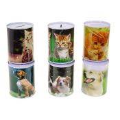 Skarbonka Adar Pies/Kot