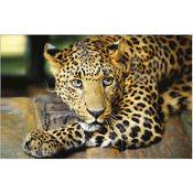 Podkładka Pantera laminowana