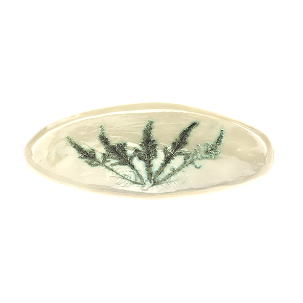 Patera