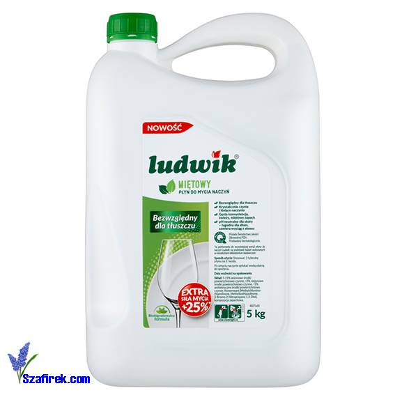 PŁYN DO NACZYŃ LUDWIK 5L MIĘTOWY