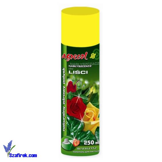 POKON Nabłyszczacz do liści w areozolu 750 ml