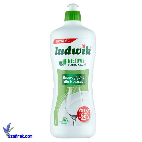 PŁYN DO MYCIA NACZYŃ LUDWIK miętowy 900G