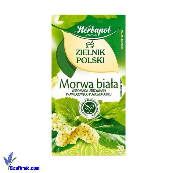 HERBAPOL ZIELNIK POLSKI morwa biała 20Tx2g