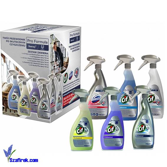 PRO FORMULA CLEANING KIT zestaw do czyszczenia