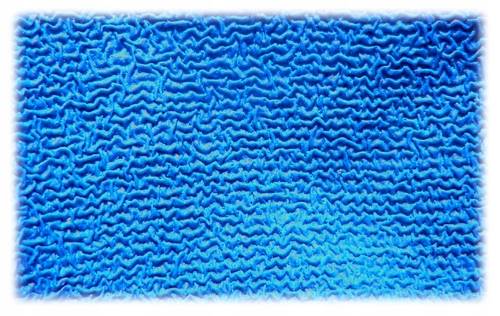 Rękawice ochronne BLUE+ roz.8