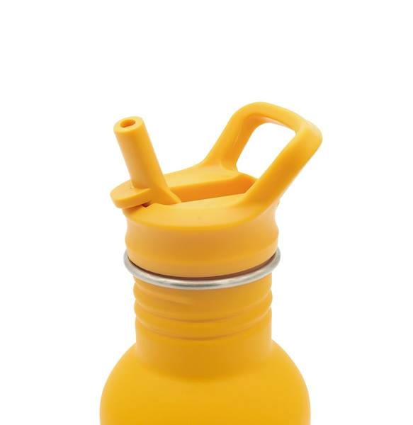 Butelka na wodę bidon 500 ml Lew SASSI 
