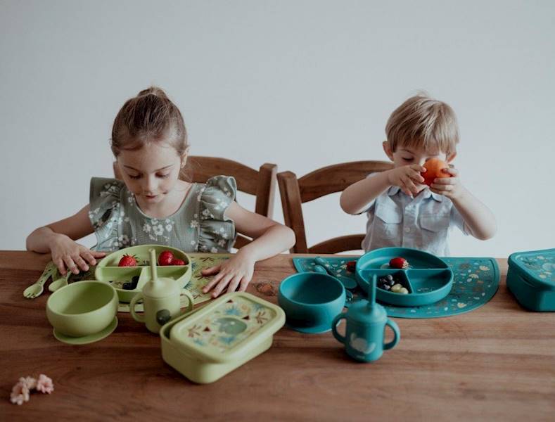 Lunchbox pojemnik silikonowy Dinozaur SASSI