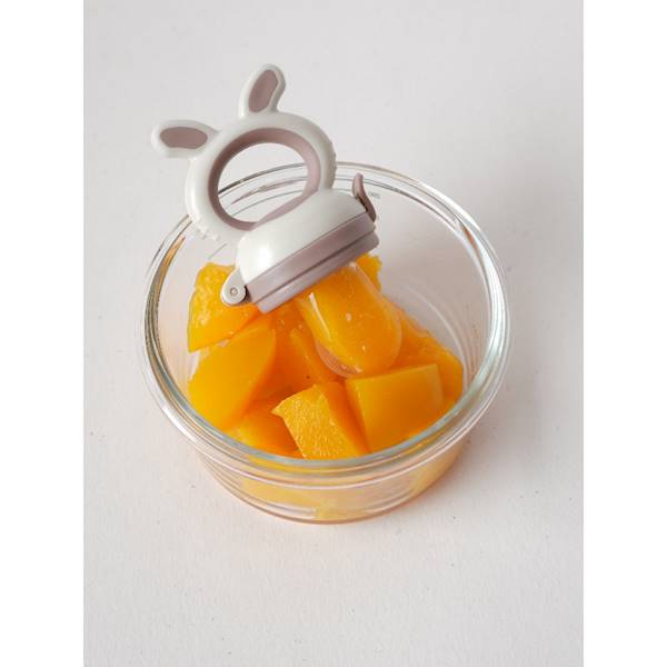 Smoczek do owoców Dune 4w1 silikonowy podajnik