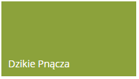 DULUX KOLORY ŚWIATA DZIKIE PNĄCZA 2,5L