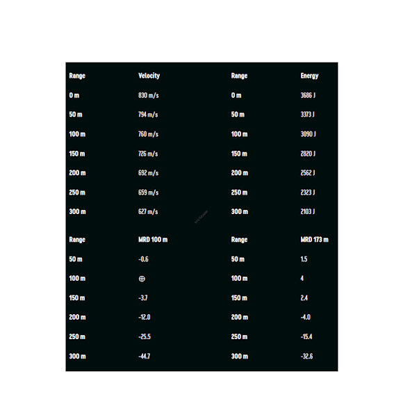 Amunicja RWS .308 Win. SPEED TIP PROFESSIONAL 10,7