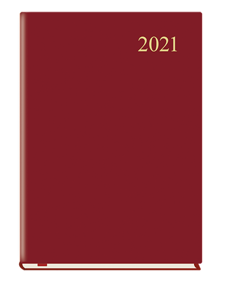 TERMINARZ FIRMOWY /T-206F