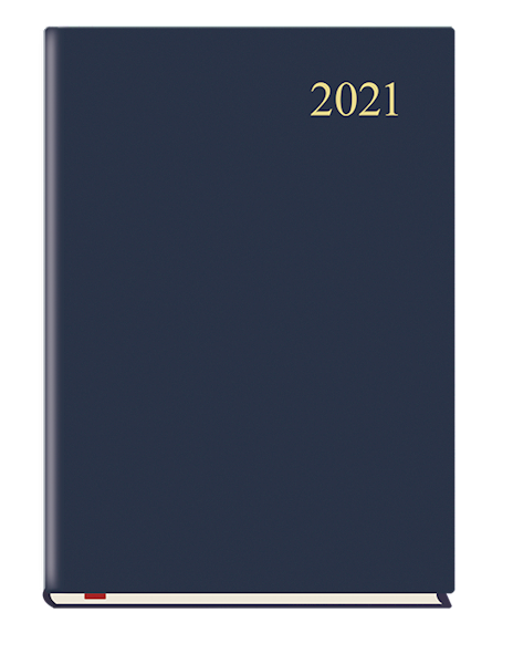 TERMINARZ FIRMOWY /T-206F