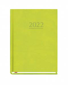TERMINARZ OLA /T-212V