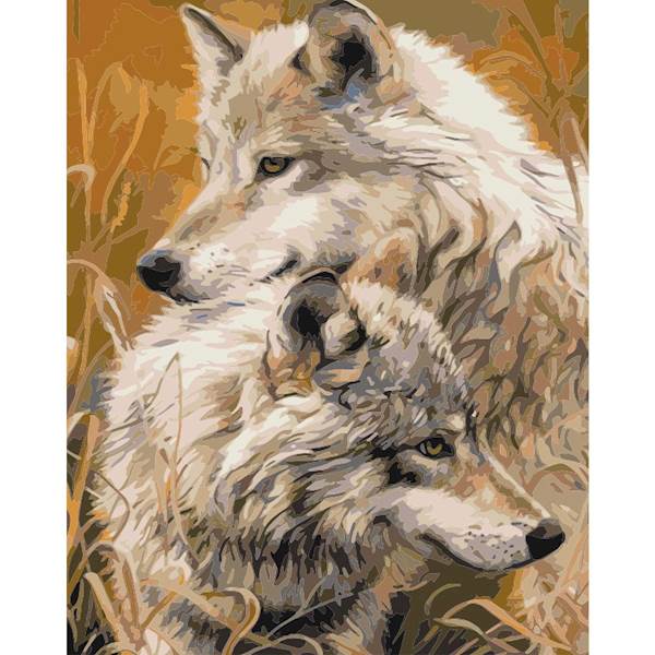 MALOWANIE PO NUMERACH Z FARBAMI 40*50CM WILK 