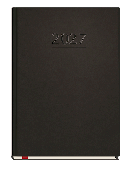 TERMINARZ POPULARNY A5 145x205mm /T-209V-V