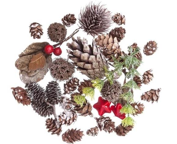 SZYSZKI NATURALNE ELEMENTY MIX 50G /DPZA-056