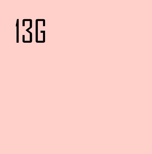 13G.png