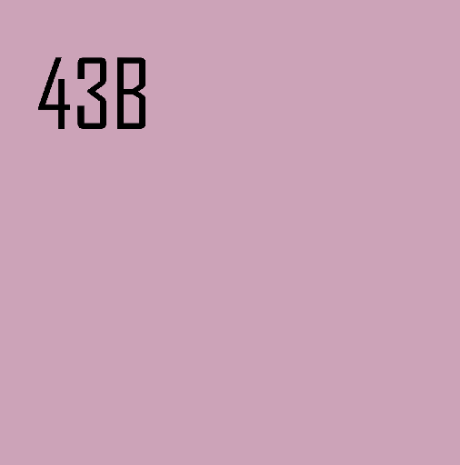 43B.png