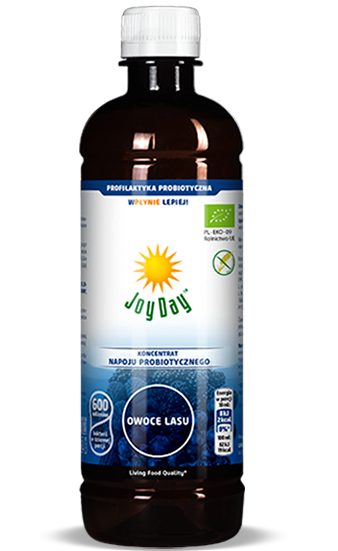 Joy Day 500ml owoce lasu