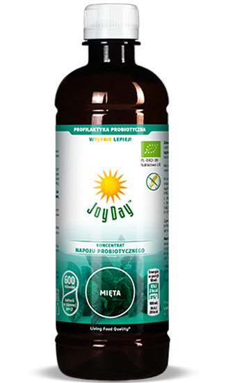 Joy Day 500ml mięta