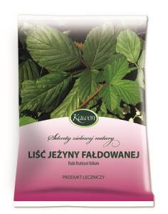 Liść jeżyny fałdowanej 50g Kawon