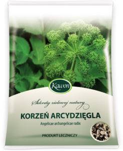 Korzeń arcydzięgla Kawon 50g