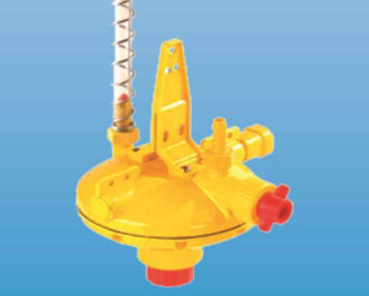 Regulator ciśnienia indyk ( dwa wyjścia) Lubing