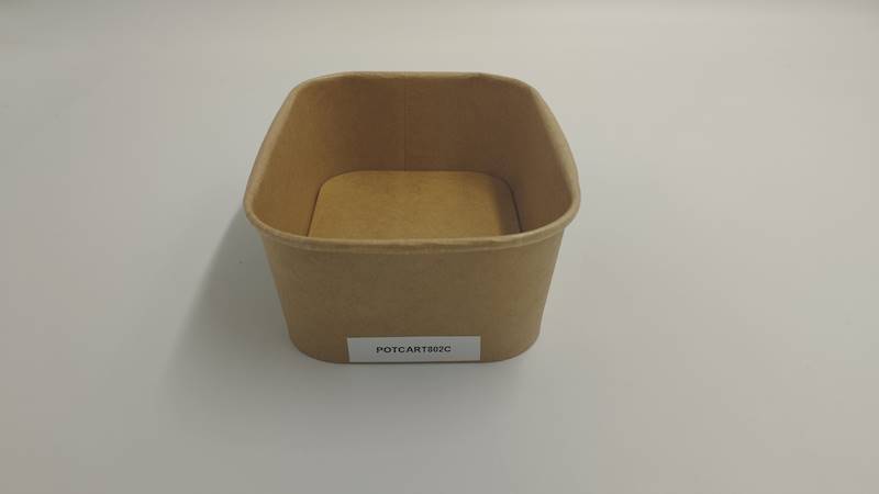 pojemnik pap na sałatkę prostokątny 800ml eko SUP