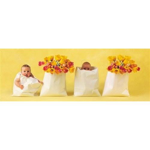 PUZZLE 57905 A. GEDD. TULIPANY 500