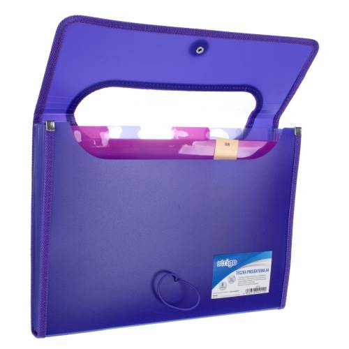 TECZKA A4/6 PRZEGRÓDEK FIOLETOWA STRIGO