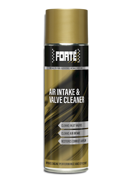 Forte Air Intake and Valve Cleaner 500ml