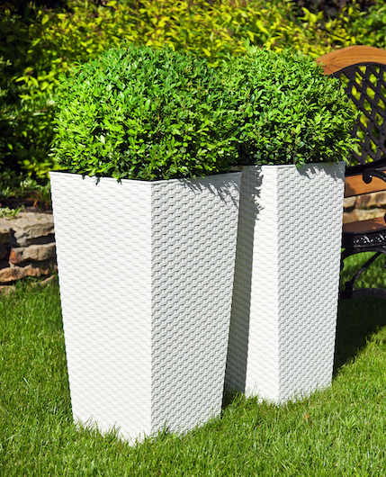 LAM. FINEZJA 300X300 RATTAN BIAŁY