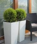 LAM. FINEZJA 250X250 DŁUTO BIAŁY