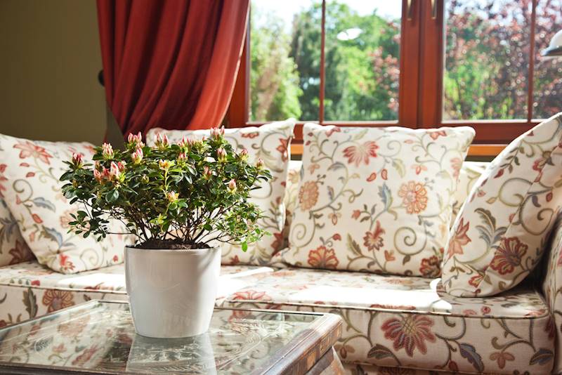 LA MAGNOLIA 210 biały perłowy 204-54