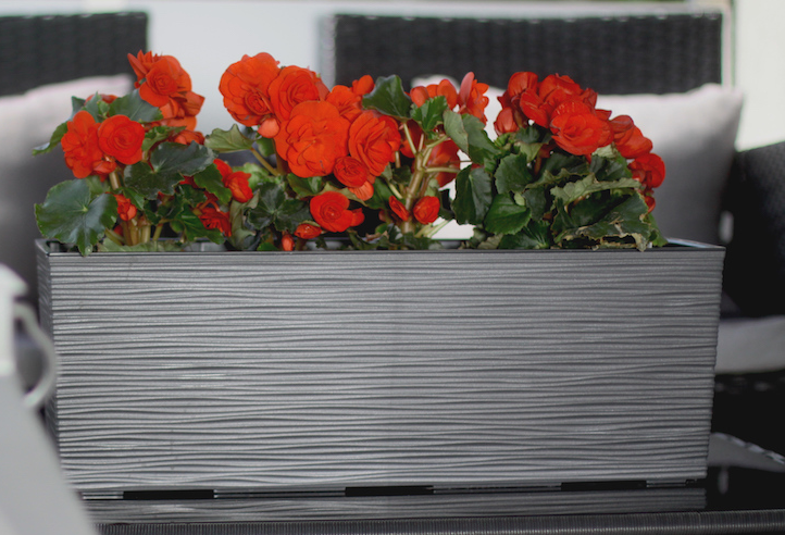 LAM. BEGONIA 190X560 DŁUTO GRAFIT