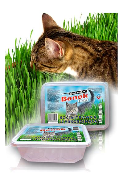 BENEK TRAWA DLA KOTA 150g