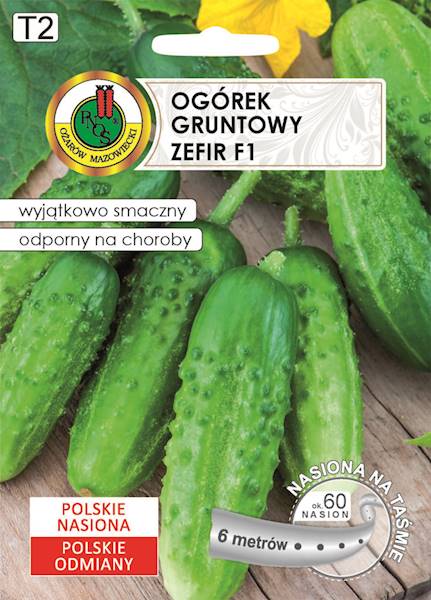 O Taśmy Ogórek Zefir F1 6m