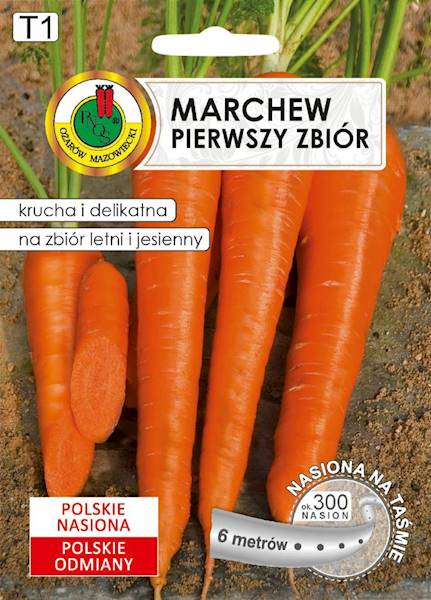 O Taśmy Marchew Pierwszy Zbiór 6m