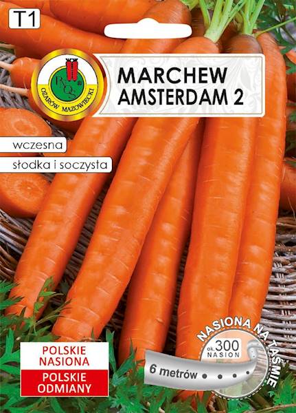 O Taśmy Marchew Amsterdam 2 6m