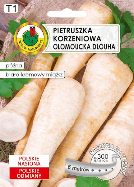 O Taśmy Pietruszka Olomoucka Dlouha 6m