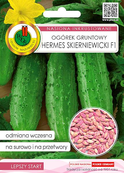 O Ogórek Hermes Skierniewicki F1 5g