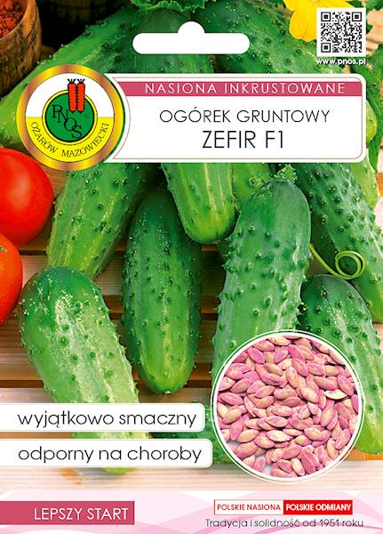 O Ogórek Zefir F1 5g  ZAPRAWIAN