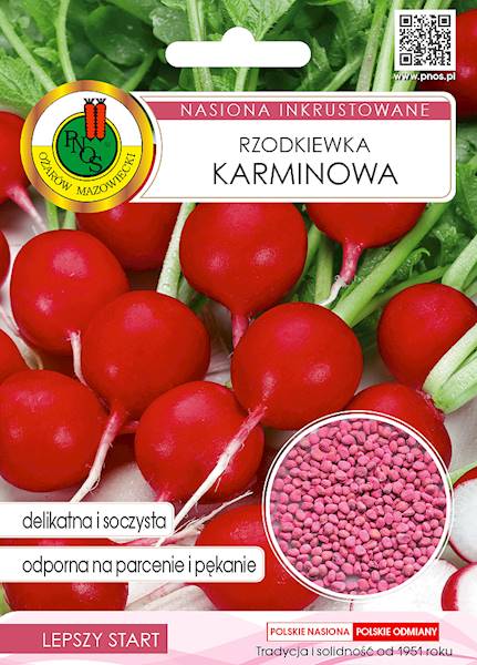O RZODKIEWKA KARMINOWA 10G ZAPRAWIANA
