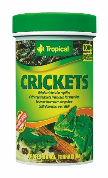 TROPICAL CRICKETS PUSZKA 100ML