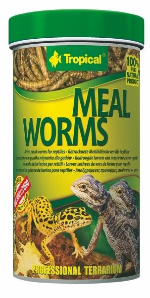 MEAL WORMS 250ML/30G