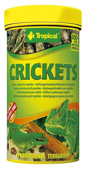 TROPICAL CRICKETS PUSZKA 250ML