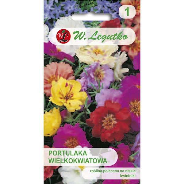 L Portulaka wielkokwiatowa miesz. 0,5g