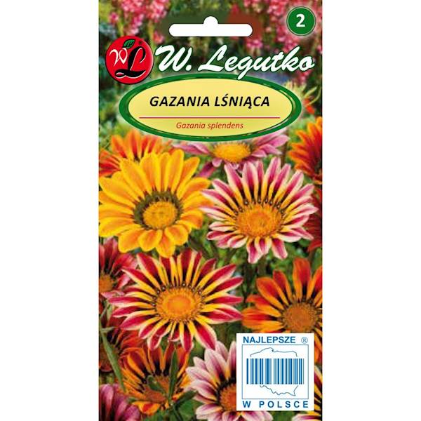 L Gazania lśniąca miesz 0,3g