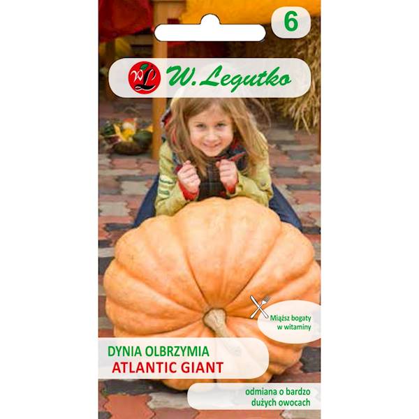 L Dynia olbrzymia Atlantic Giant 3g